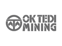 Client Logos for Website-14-Ok Tedi